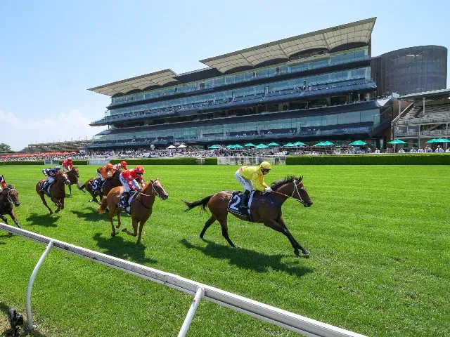 Racehorses and jockeys on the turf in front of the Royal Randwick grandstand